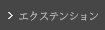 エクステンション